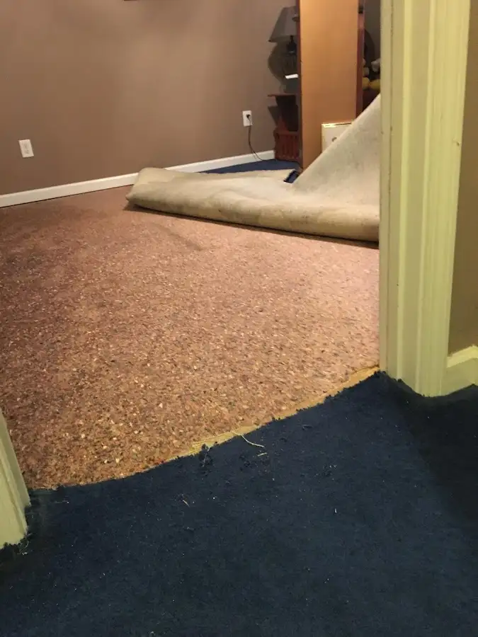 Carpet pad removal revealing water damage during Water Mitigation Services in Newberry