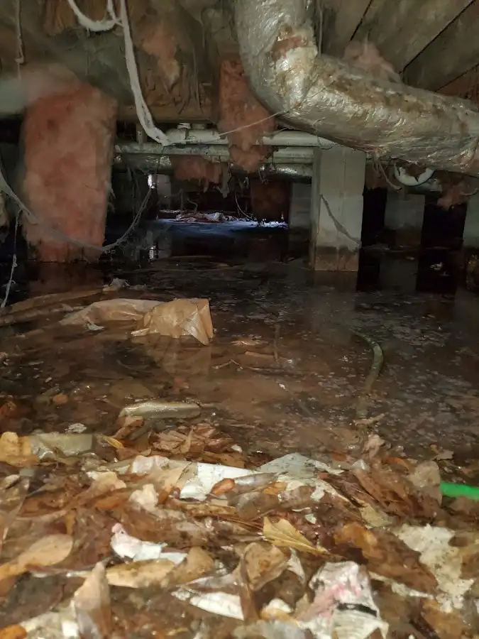 Crawl space flood assessment for Commercial Water Damage Restoration in Newberry