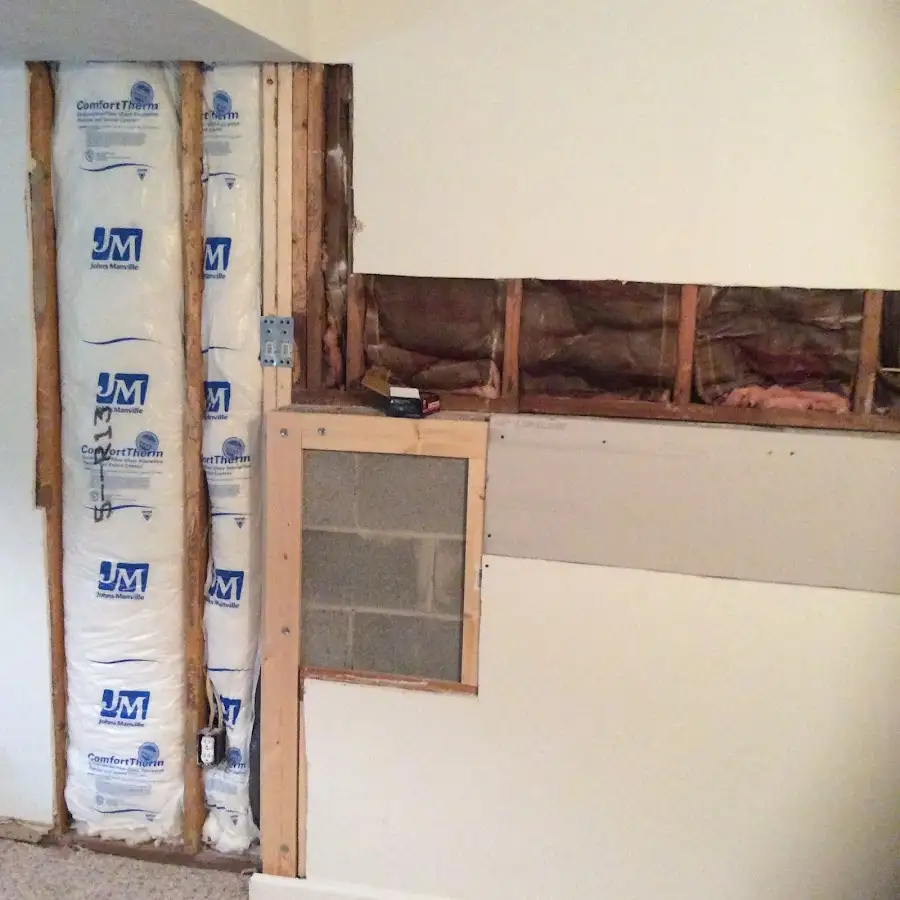 Wall insulation replacement during Basement Flood Cleanup in Newberry